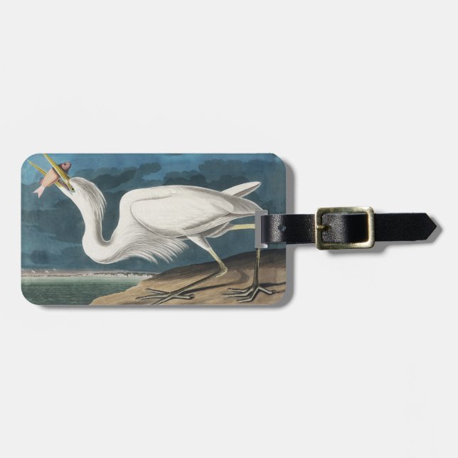 Underbar White Heron Audubon Bird Wildlife Paintin Bagagebricka (Horisontell Framsida)
