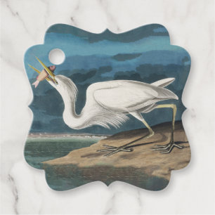 Underbar White Heron Audubon Bird Wildlife Paintin Gåvor Etiketter