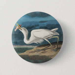 Underbar White Heron Audubon Bird Wildlife Paintin Knapp