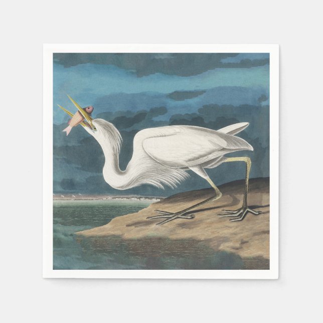 Underbar White Heron Audubon Bird Wildlife Paintin Pappersservett (Framsidan)