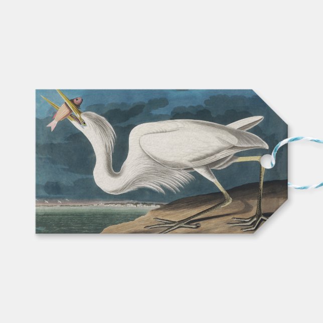 Underbar White Heron Audubon Bird Wildlife Paintin Presentetikett (Framsidan (Horisontell))
