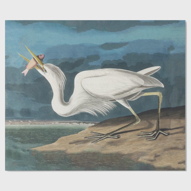 Underbar White Heron Audubon Bird Wildlife Paintin Presentpapper (Platt)