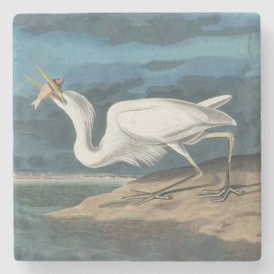 Underbar White Heron Audubon Bird Wildlife Paintin Stenunderlägg