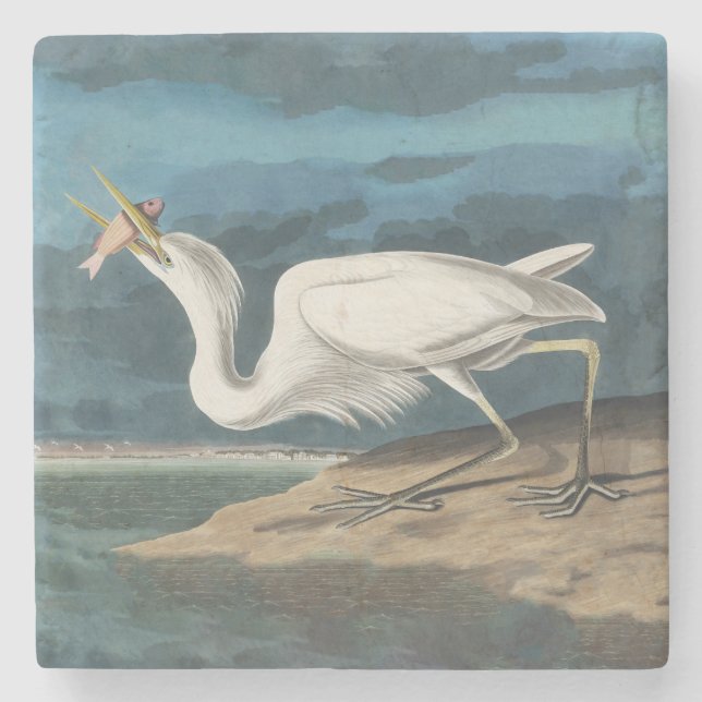 Underbar White Heron Audubon Bird Wildlife Paintin Stenunderlägg (Framsidan)
