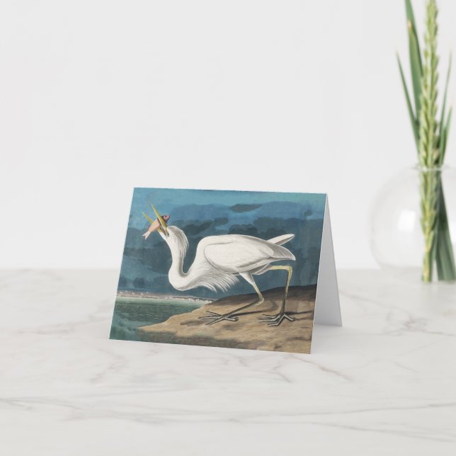 Underbar White Heron Audubon Bird Wildlife Paintin Tack Kort (Framsida)