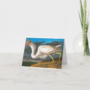 Underbar White Heron av John James Audubon Tack Kort