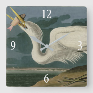 Underbar White Heron, från Audubon's Birds of Amer Fyrkantig Klocka