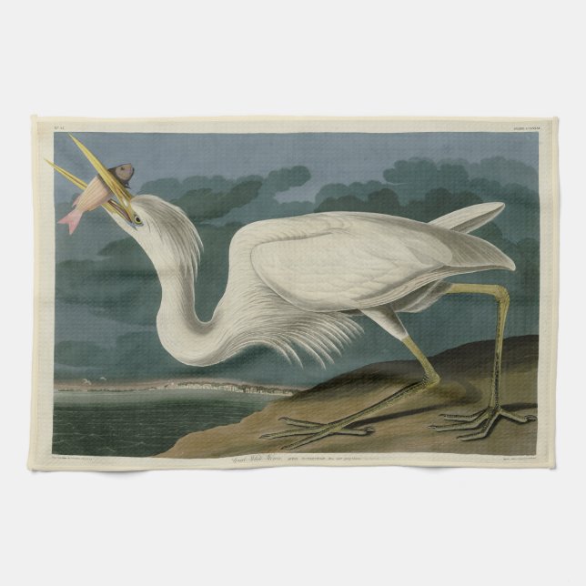 Underbar White Heron, från Audubon's Birds of Amer Kökshandduk (Horisontell)