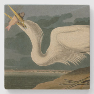 Underbar White Heron, från Audubon's Birds of Amer Stenunderlägg