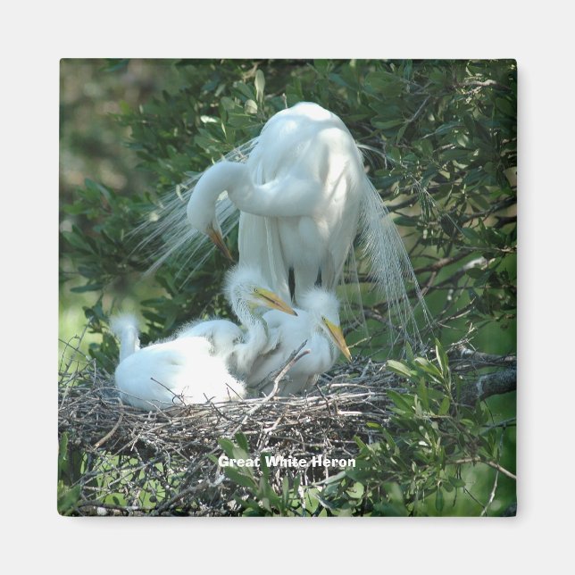 Underbar White Heron Magnet (Framsidan)