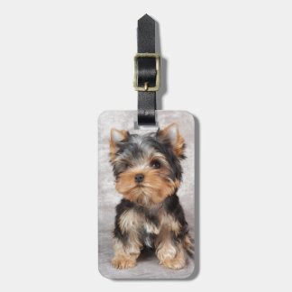 Underbar yorkie bagagebricka