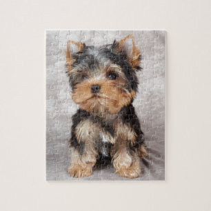 Underbar yorkie pussel