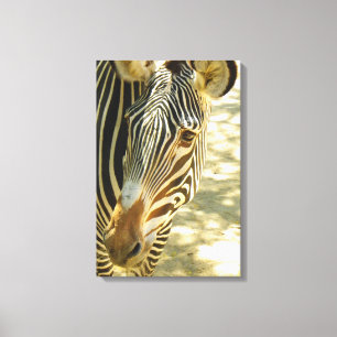 Underbar Zebra Wrapped Canvas! Canvastryck