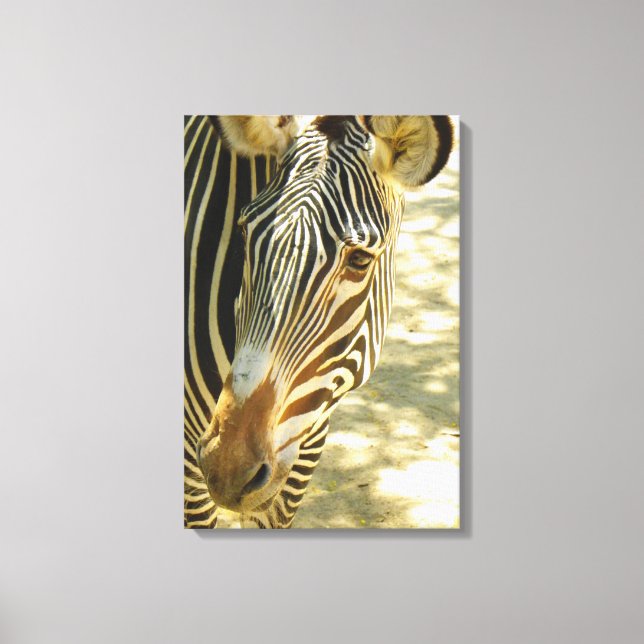 Underbar Zebra Wrapped Canvas! Canvastryck (Framsida)