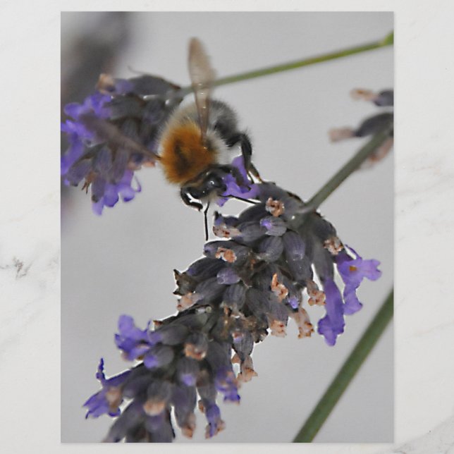 Underbara arbetare (Framsida)