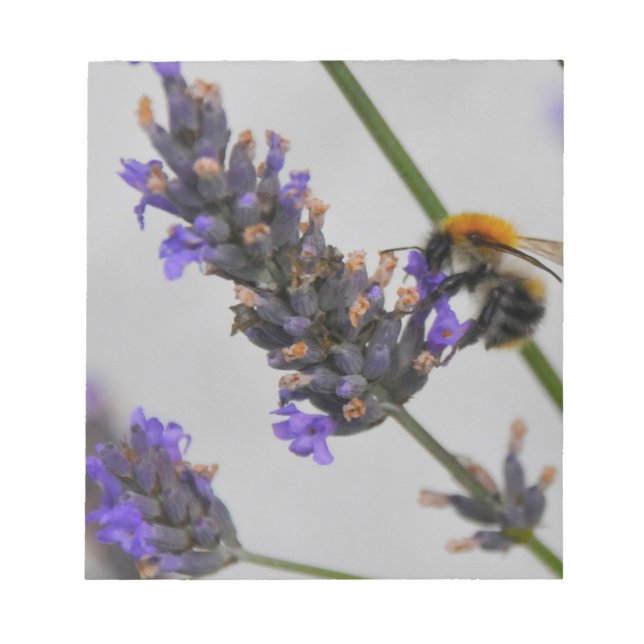 Underbara arbetare anteckningsblock (Framsida)