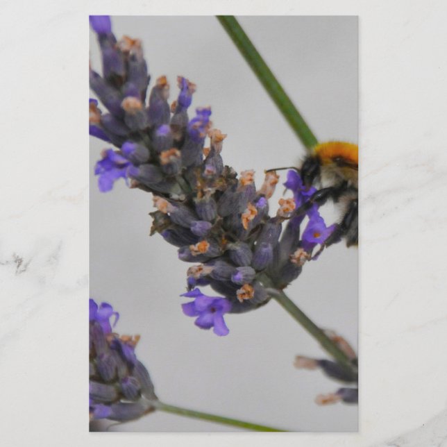 Underbara arbetare brevpapper (Framsida)