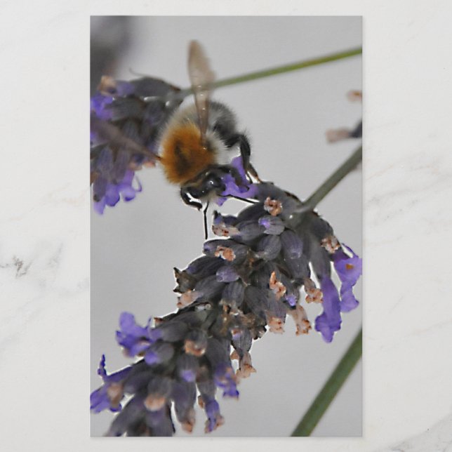 Underbara arbetare brevpapper (Framsida)