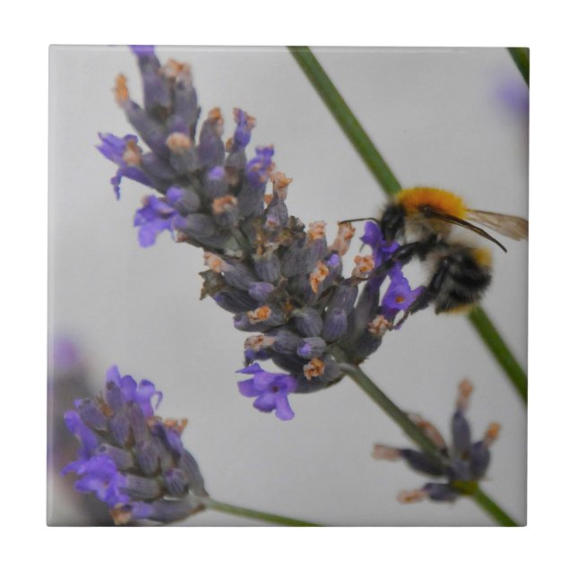 Underbara arbetare kakelplatta (Framsidan)