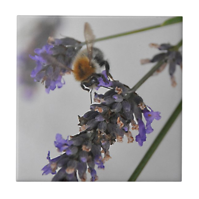 Underbara arbetare kakelplatta (Framsidan)