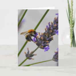 Underbara arbetare kort