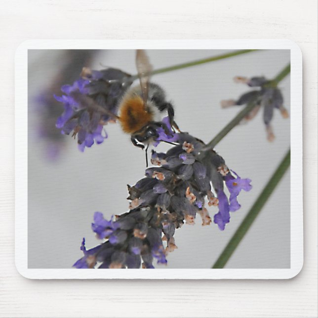 Underbara arbetare musmatta (Framsidan)