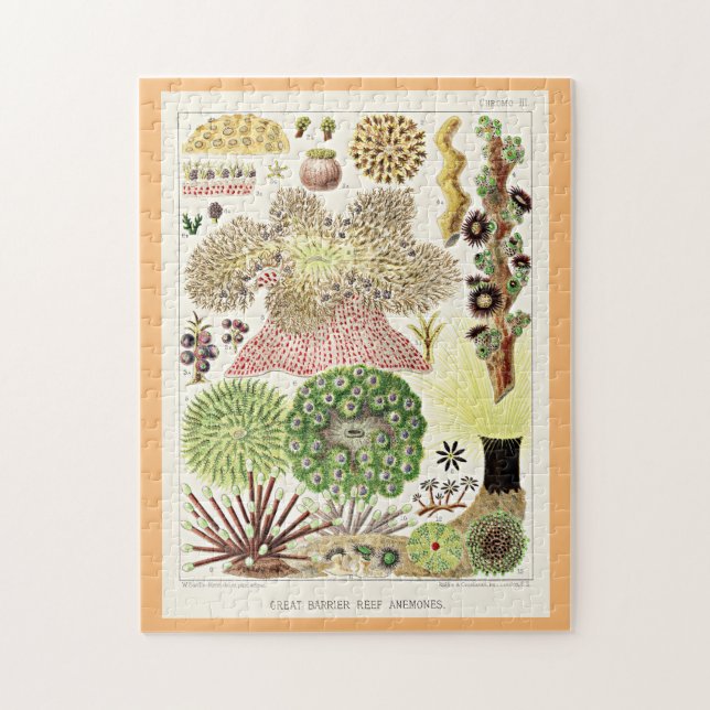 Underbara barriärrevet i Australien Anemones Pussel (Vertikal)