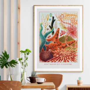 Underbara Barrier Reef Echinoderms VINTAGE Poster