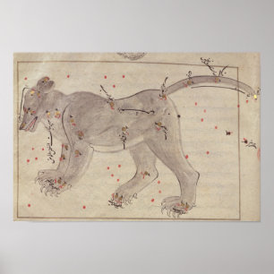 Underbara björn, från Bok av Stars efter El Hussei Poster