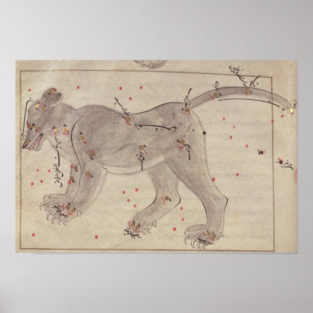 Underbara björn, från Bok av Stars efter El Hussei Poster (Framsidan)