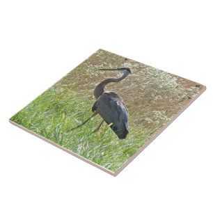 Underbara blå Heron - Ardea herodias - #2 Kakelplatta