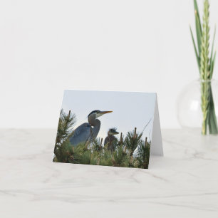 Underbara Blå Heron och dess Baby Kort