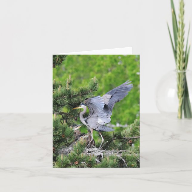 Underbara Blå Heron och Spädbarn! Kort (Framsida)