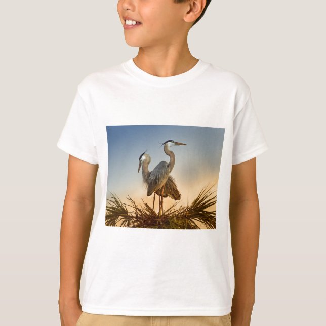 Underbara blå sjöar vid soluppgång t-shirt (Framsida)