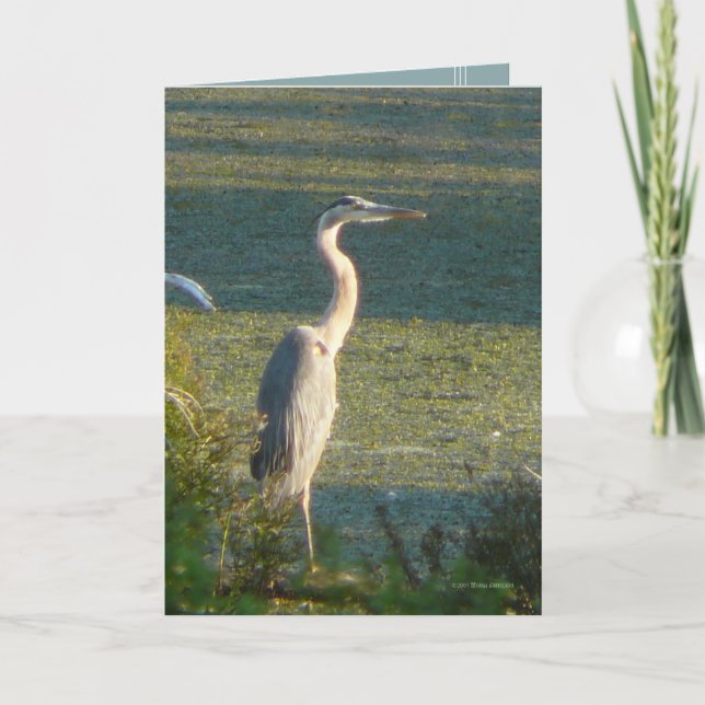 Underbara blått kort (Framsida)