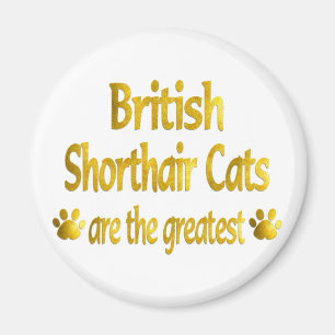 Underbara brittiska Shorthair Magnet