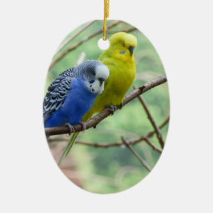 Underbara Budgie Julgransprydnad Keramik