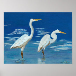 Underbara Egrets Poster