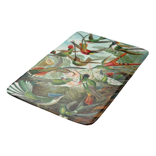 Underbara Ernst Haeckel Kolibrier Badrumsmatta (Vinklad)
