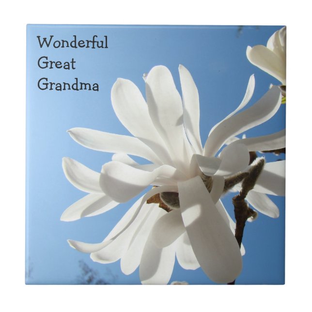 Underbara fantastiska mormors gåvor Kakel Magnolio (Framsidan)