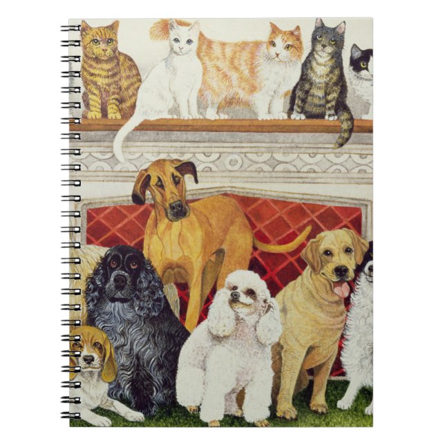 Underbara förväntningar anteckningsbok med spiral (Framsidan)