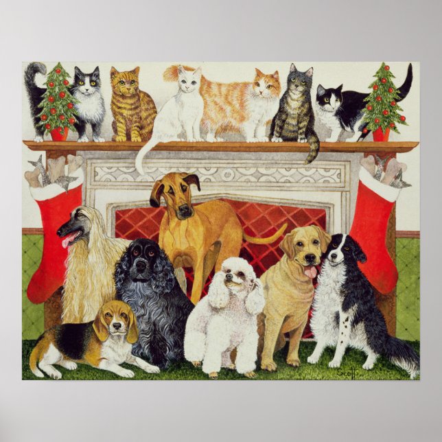 Underbara förväntningar poster (Framsidan)