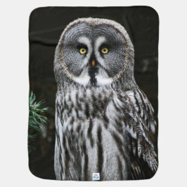 Underbara Grått Uggla bbi Bebisfilt