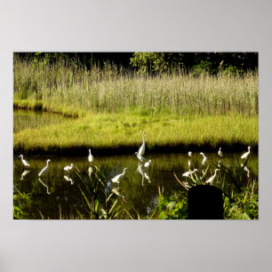 Underbara greter i Marsh Poster