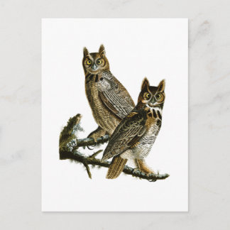 Underbara hornerade Uggla John Audubon Birds of Am Vykort