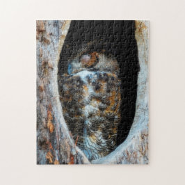 Underbara hornsklubb Uggla som sover i en Träd-ihå Pussel