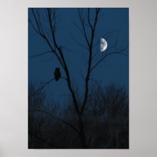 Underbara hornsklubb Uggla vid nattlig Poster elle