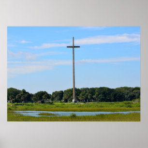 Underbara Kor vid St Augustine, Florida Poster