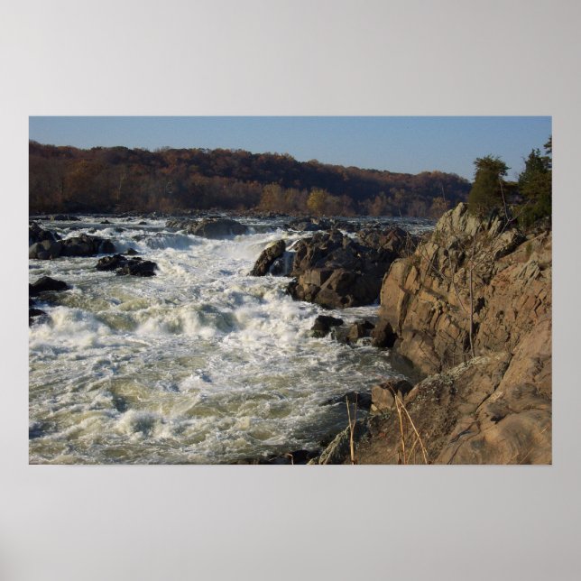 Underbara mul- och klövsjukan poster (Framsidan)