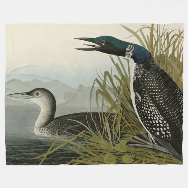 Underbara nordliga divers Loon Audubon Birds of Am Fleecefilt (Framsidan (Horisontell))
